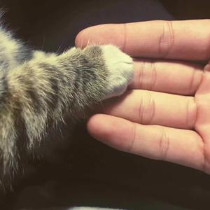 面具公社app下载官方
