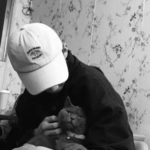 面具公社app下载官方
